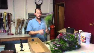 How To Prepare Bupleurum from Ecuador  lwflowerscom [upl. by Leighton]