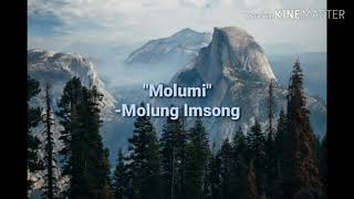 Ao Song  Molumi  Molung Imsong Lyrics Video [upl. by Marylee]