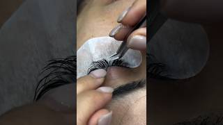 Lash Filllashing lashes beautifullashes lashextensions lashing eyelashextensions eyelashes [upl. by Enegue306]