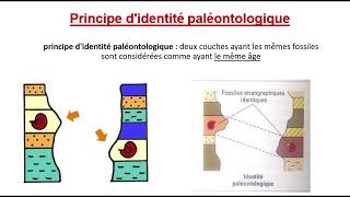 Les principes de la stratigraphie المبادئ الاستراتيغرافية Darija [upl. by Slade]