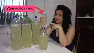 Como fazer refrigerante caseiro de limÃ£o DIY [upl. by Ahsikad803]