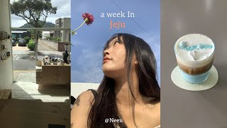 jeju vlog 제주에서 인태기 극복하기  저의 제주 힐링스팟들을 소개합니다🏝️  제주동쪽  감성카페  소품샵  제주 계곡  마라도 찍먹하기 [upl. by Tierney]