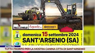 ATTUALITÀ TUTTO PRONTO PER LA MOSTRA CANINA CITTA DI SANT’ARSENIO [upl. by Pros]