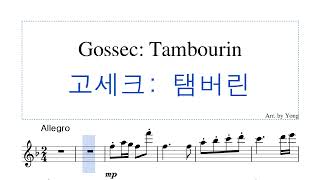 고세크 탕부랭 플루트 편곡 Gossec Tambourin for Flute [upl. by Hollyanne]