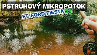 Změna místa ryba jistá ft Ford Fiesta ST [upl. by Eirffej304]