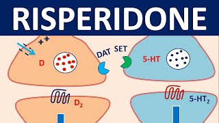 Risperidone  Mechanism side effects precautions amp uses [upl. by Eeldarb]