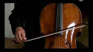 Borodin String Quartet No 2 I Allegro Moderato [upl. by Cirdet692]