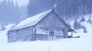 hiding in an abandoned log cabin during a snowstorm [upl. by Fish]