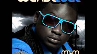 Wande Coal  I Know You Like It [upl. by Nivrag574]