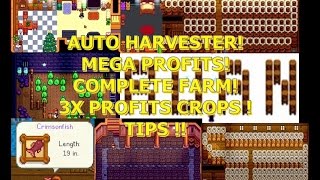 Stardew Valley  Automatic Farm Junimos Hut great layout and lot tips 20 english ver [upl. by Atilrac214]