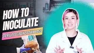 How To Inoculate Grain Spawn Bag using Liquid Culture Syringe for Growing Mushrooms at Home [upl. by Assennej267]