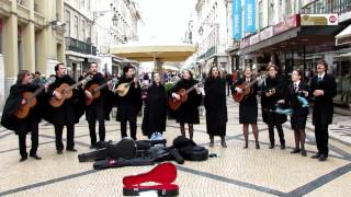 Folk music from Portugal  Apanhar o Trevo [upl. by Ahcsas]