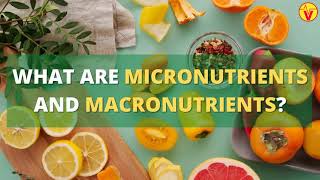 What Are Micronutrients And Macronutrients   VisitJoy [upl. by Suu128]