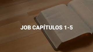 JOB CAPÍTULOS 15 LA BIBLIA RV1960 [upl. by Zubkoff982]