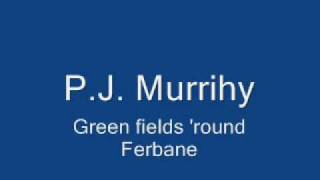 PJ Murrihy  Green fields round Ferbane [upl. by Annadroj312]