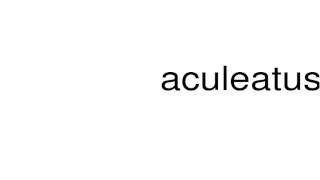 How to pronounce aculeatus [upl. by Zelda]