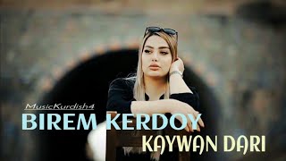 KAYWAN DARI  BIREM KERDOY Official Music Video  2024 [upl. by Retepnhoj]