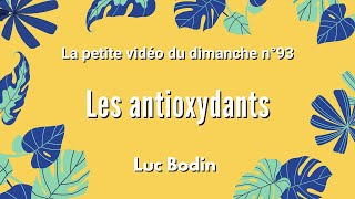 LES ANTIOXYDANTS  La petite vidéo du dimanche n°93 [upl. by Nareht601]