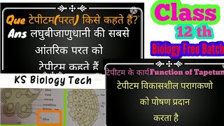 टेपीटमTapetumकार्य Function All About Tapetum  Class 12BSc KSBiologyTech [upl. by Maida]