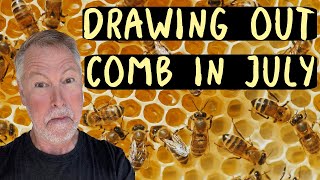 Beekeeping Tips How To Get Frames Drawn Out In July [upl. by Ecirrehs]