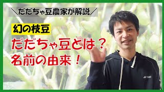 だだちゃ豆とは？だだちゃ豆の名前の由来などをだだちゃ豆農家が解説する！ [upl. by Lennaj]