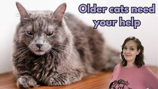 Practical tips to help your older cat 🐈 [upl. by Ahsatin]