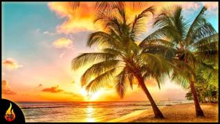 Island Reggae Music  Upbeat Tropics  Tropical Island Beach Music [upl. by Oiramrej980]