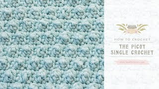 How To Crochet The Picot Single Crochet  Easy Tutorial by Hopeful Honey [upl. by Barta]