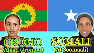 Similarities Between Somali and Oromo [upl. by Seyer]