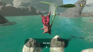 Korok seeds  Horon Lagoon  Lanayru Tower 53  Zelda BOTW [upl. by Osgood222]