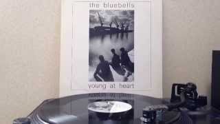 The Bluebells  Young At Heart 12inch [upl. by Pilif463]