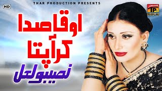 Naseebo Lal  O Qasida Kar Aa Pata  Marziyan Wala Dhola  Album 11 [upl. by Lissner]