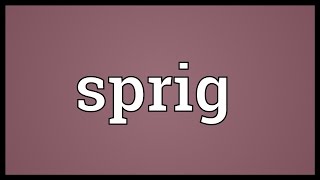 Sprig Meaning [upl. by Imit830]