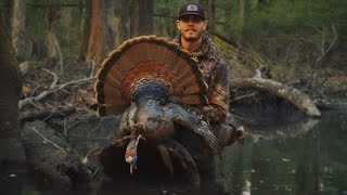 South Carolina Turkey hunt  AMAZING 410 SHOT [upl. by Wildon]