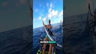 Sailfish on a Kayak 2 Miles from Land fishingmethods offshore fishing kayakfishing [upl. by Ainoloppa]