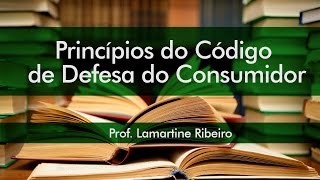 Princípios do Código de Defesa do Consumidor  Prof Lamartine Ribeiro [upl. by Nasah854]