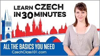 Learn Czech in 30 Minutes  ALL the Basics You Need [upl. by Gnav]