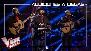 Los Orlando cantan  Lágrimas negras  Audiciones a ciegas  La Voz Senior Antena 3 2019 [upl. by Samford]