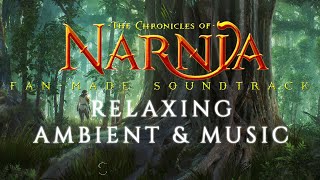 The Chronicles of Narnia  Relaxing Ambient amp Music  William Maytook [upl. by Susi767]