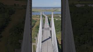 Talmadge Memorial Bridge savannah georgia drone [upl. by Eniamsaj189]