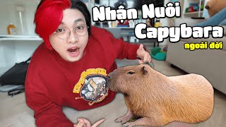 Kairon 24H Nhận Nuôi Bé CAPYBARA Ngoài Đời Thật  Bé Capybara Siêu Bựa [upl. by Carmelina]