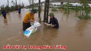 Mặc Cho Mưa Lũ Dân Làng Vẫn Đổ Xô Đi Kích Cá Bắt Toàn Cá Gần 10 Kg Đang Xuôi Theo Dòng Nước [upl. by Jehiah]