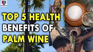 Top 5 Health Benefits of Palm Wine  Health Benefits of Alcohol [upl. by Retsel]