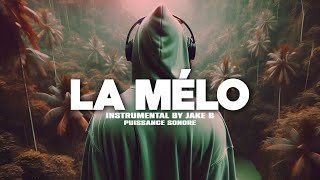 Free Melodic Drill Type Beat quotLa Méloquot Instru Rap drill Love Instrumental Melodieuse 2024 [upl. by Ahset128]