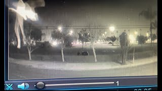 Fairy caught on security camera in Los Angeles [upl. by Yllek317]