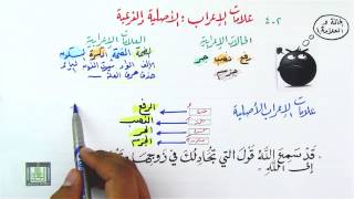 علامات الإعراب الأصلية وعلامات الإعراب الفرعية 24 [upl. by Ycak659]