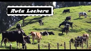 Así es la Ruta Lechera [upl. by Roseanne]