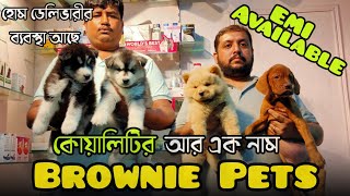 Low Price Puppy In Kolkata🔥 Kolkata Pet Shop  Cheapest Dog Kennel In Kolkata  Dog Shop Kolkata [upl. by Cosimo642]