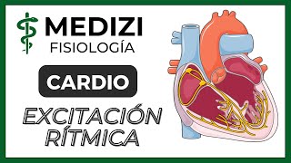 Clase 20 Fisiología Cardíaca 5  Excitación rítmica del corazón IGdoctorpaiva [upl. by Linkoski]