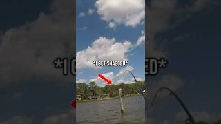 Got snagged then THIS HAPPENED shorts fishing fishinglife [upl. by Canotas]